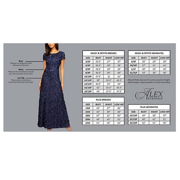 Alex Evenings Popover Lace Bodice A-Line Chiffon Dress Size: 22W - Picture 4 of 6